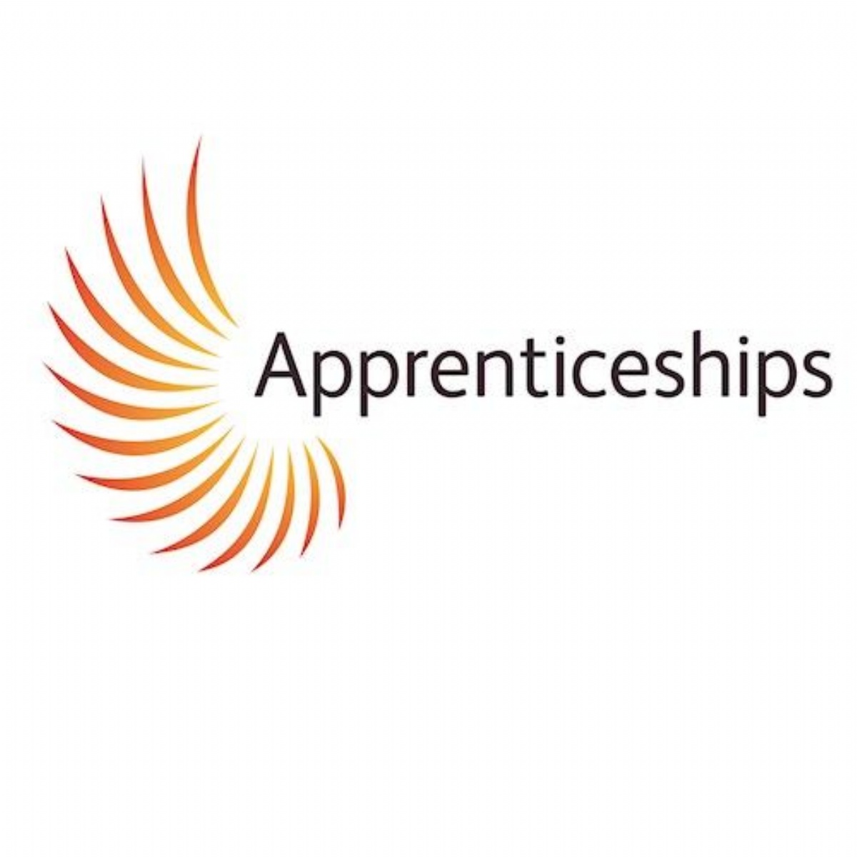 Exmouth Community College - Amazing Apprenticeships